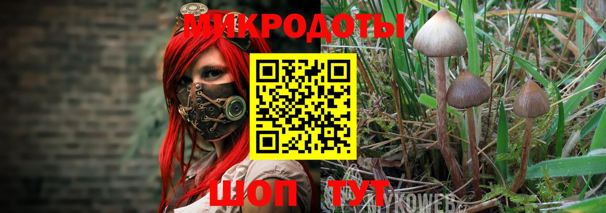 Галлюциногенные грибы GOLDEN TEACHER  Псилоцибиновые грибы Psilocybine cubensis  Вход с VPN  Серов 
