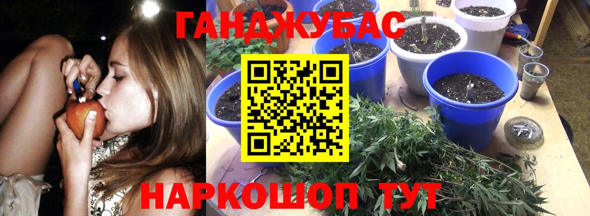 Канабис сатива  Каннабис Ganja  Серов  Вход с VPN 